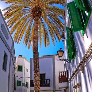 Apartment The Palm House, Puerto De Mogan